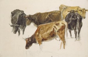 Tutkimus lehmäjoukosta, noin 1801 (akvarelli grafiitilla, hieman raaputettu, vohvelipaperilla).